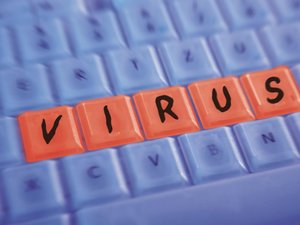 Компьютерные вирусы. Причины возникновения и развития 